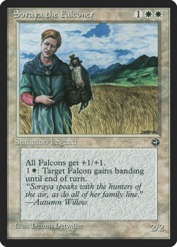 soraya-the-falconer.jpg